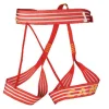 Camp Alp Racing Authentic Original licence 19