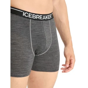 Dernières Nouveautés Promo 🔥 Icebreaker Anatomica Boxers – Boxer homme 😀 31