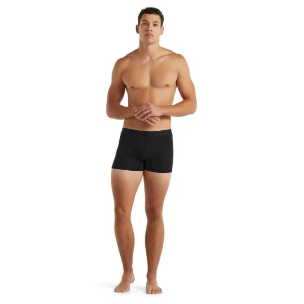 en solde Les meilleures critiques de 💯 Icebreaker Anatomica Cool-Lite Boxers – Boxer homme 🔥 4