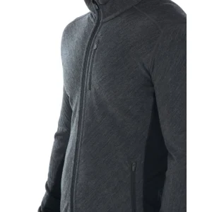 Offres 😉 Icebreaker Descender LS Zip – Polaire en laine mérinos homme I Hardloop 🎉 REMISE allant 93
