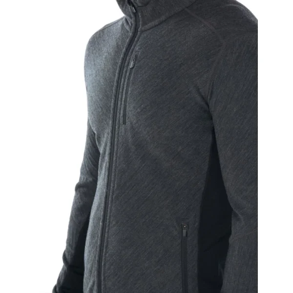Offres 😉 Icebreaker Descender LS Zip – Polaire en laine mérinos homme I Hardloop 🎉 REMISE allant 31