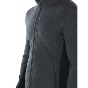 Offres 😉 Icebreaker Descender LS Zip – Polaire en laine mérinos homme I Hardloop 🎉 REMISE allant 47