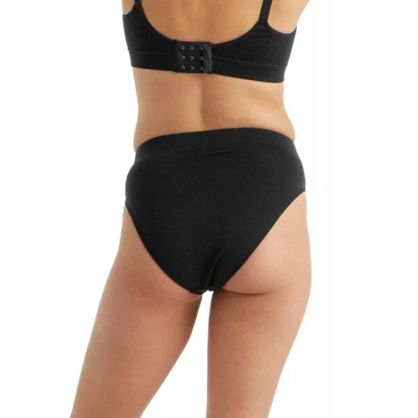 De gros 🔥 Icebreaker Queens High Cut Brief – Sous-vêtement mérinos femme I Hardloop 🌟 Livraison internationale 4