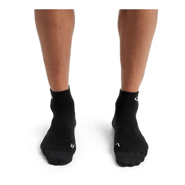 Acheter 👏 Icebreaker Run+ Ultralight Mini – Chaussettes en laine mérinos homme I Hardloop 🌟 garantis authentique 3