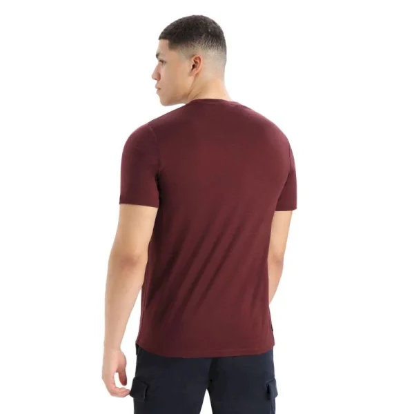 Top 10 🛒 Icebreaker Tech Lite II SS Tee Mountain Geology – T-shirt en laine mérinos homme 🎉 boutique en france 3