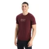 Top 10 🛒 Icebreaker Tech Lite II SS Tee Mountain Geology – T-shirt en laine mérinos homme 🎉 boutique en france 23