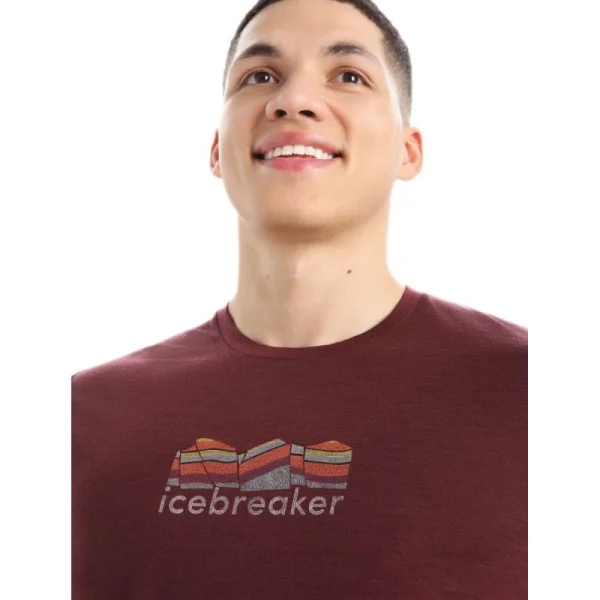 Top 10 🛒 Icebreaker Tech Lite II SS Tee Mountain Geology – T-shirt en laine mérinos homme 🎉 boutique en france 5