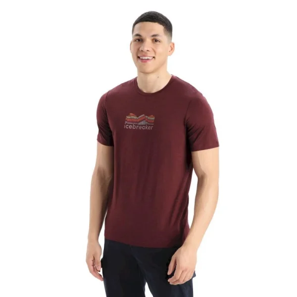 Top 10 🛒 Icebreaker Tech Lite II SS Tee Mountain Geology – T-shirt en laine mérinos homme 🎉 boutique en france 1