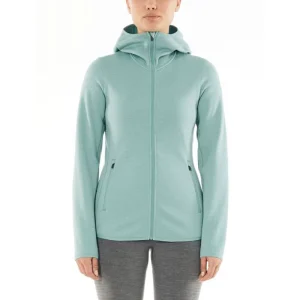 pas cher en ligne Meilleur prix 🧨 Icebreaker Wmns Elemental LS Zip Hood – Polaire en laine mérinos femme I Hardloop 😀 11
