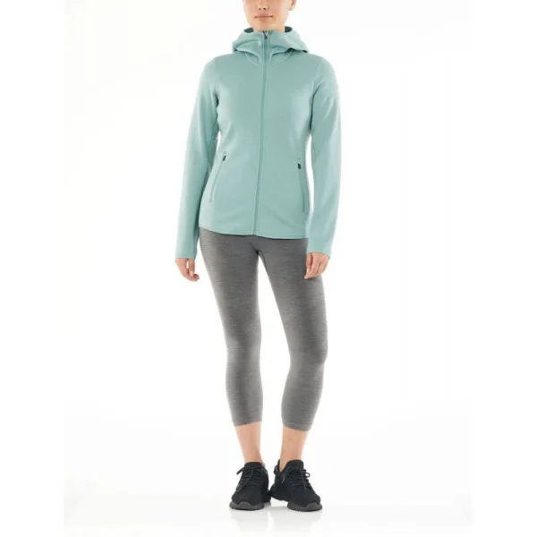 pas cher en ligne Meilleur prix 🧨 Icebreaker Wmns Elemental LS Zip Hood – Polaire en laine mérinos femme I Hardloop 😀 5