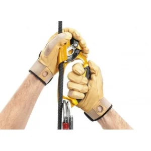 Acheter 🌟 Petzl Ascension – Bloqueur ✔️ Meilleur Prix 8